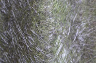 Warton Bank fibreglass roof work